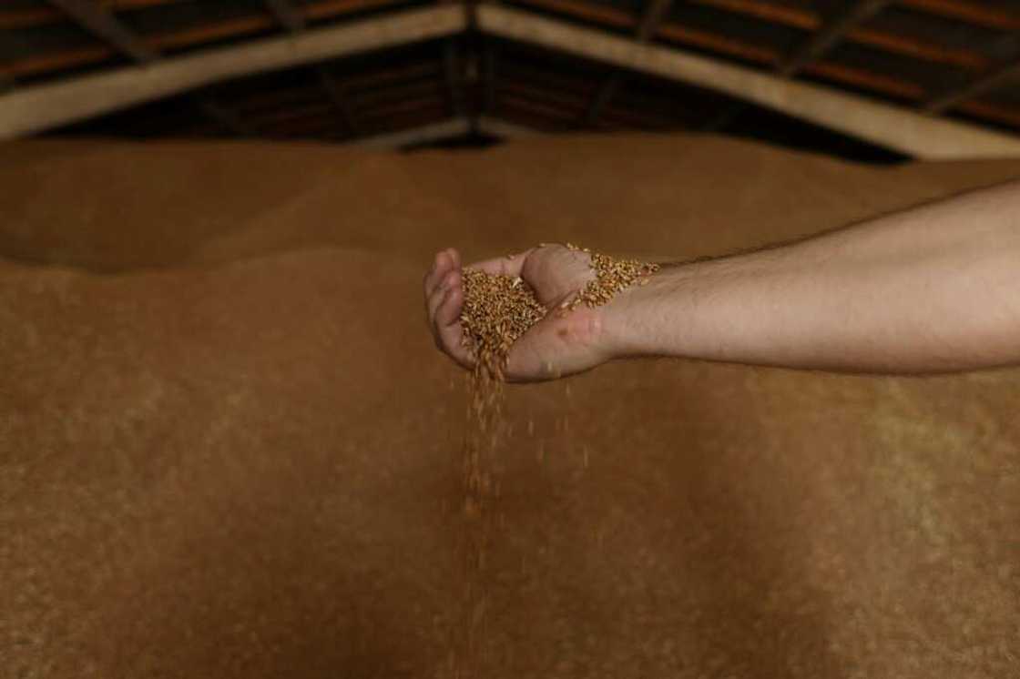 A Russian naval blockade of Ukraine's Black Sea ports has stopped grain shipments and led to a burgeoning global food shortage A Russian naval blockade of Ukraine's Black Sea ports has stopped grain shipments and led to a burgeoning global food shortage