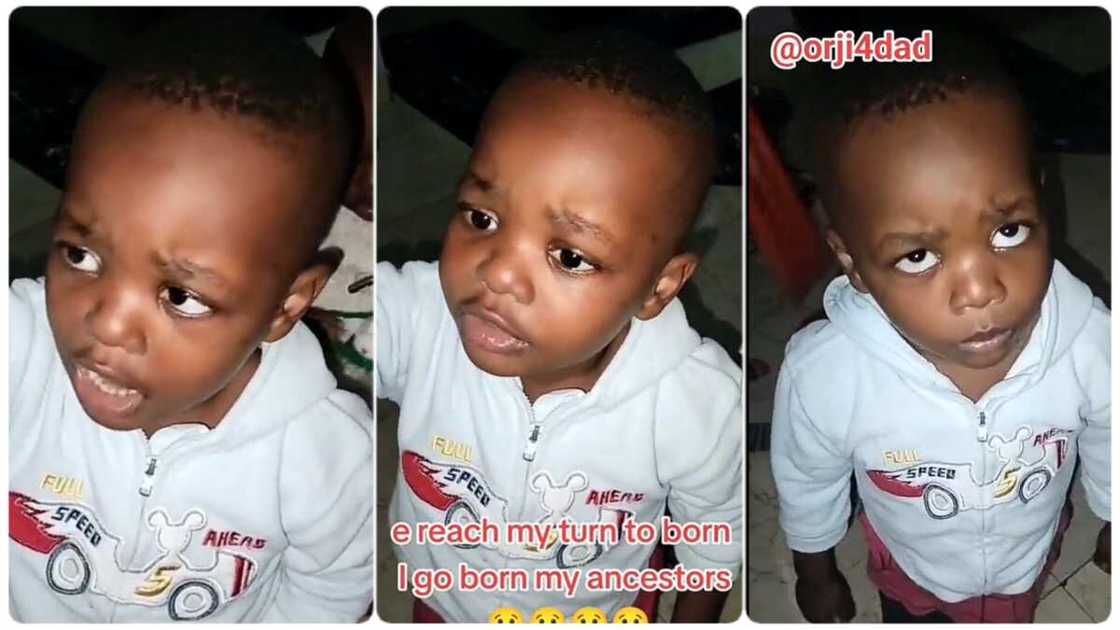 Photo of little boy Photo of little boy