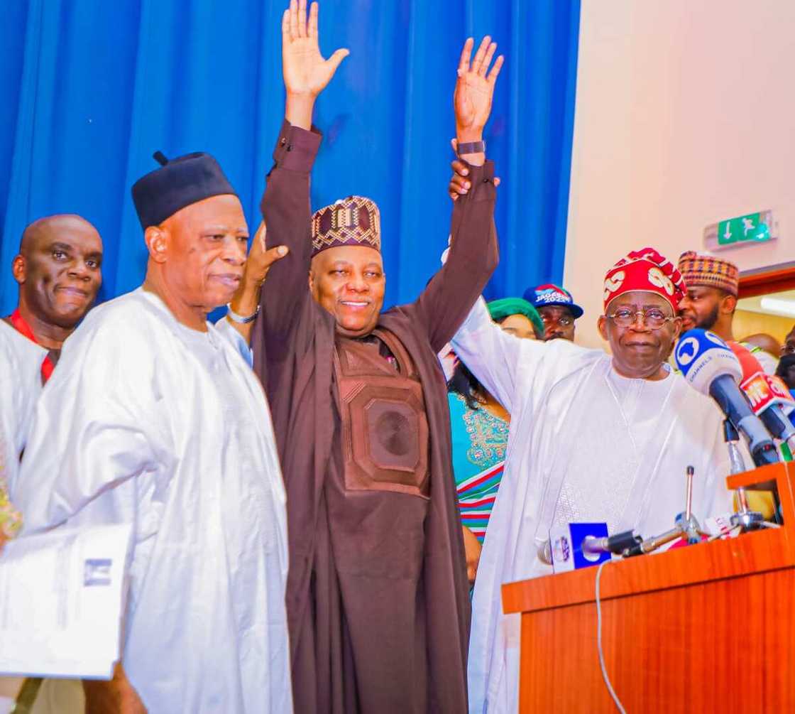 Bola Tinubu, 2023 election, APC, Kashim Shettima, Abuja Bola Tinubu, 2023 election, APC, Kashim Shettima, Abuja