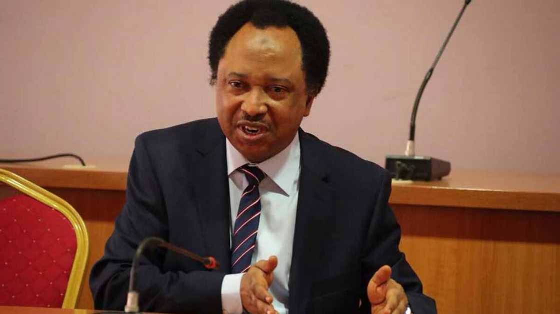 Shehu Sani ya yi gargadi mutane kan shigo da gasar jima'i Najeriya Shehu Sani ya yi gargadi mutane kan shigo da gasar jima'i Najeriya
