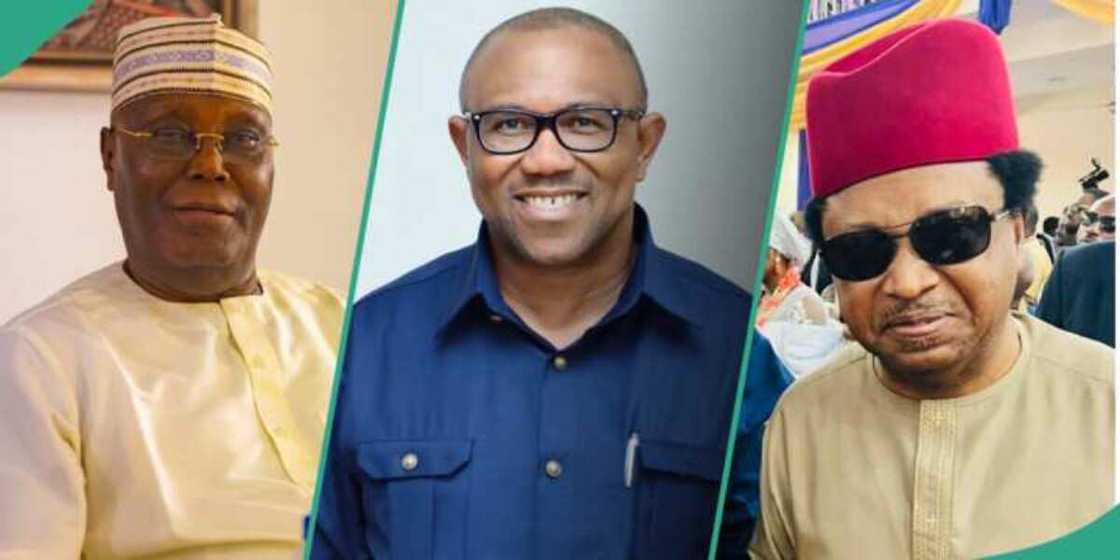 Shehu Sani ya magantu kan batun hadewar jam'iyyu adawa Shehu Sani ya magantu kan batun hadewar jam'iyyu adawa