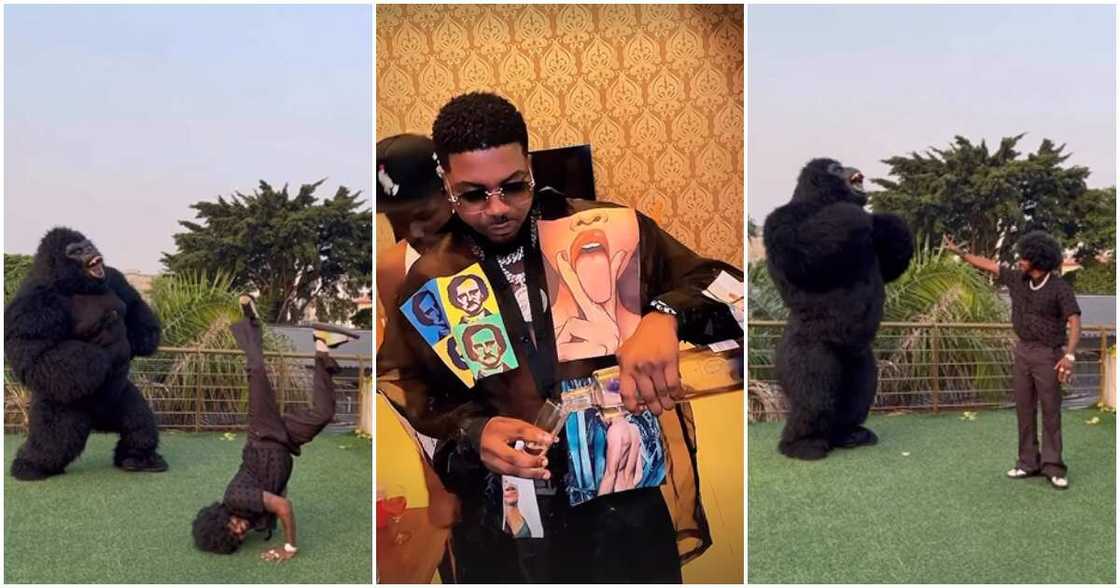 Photos of Skiibii and gorilla dancing