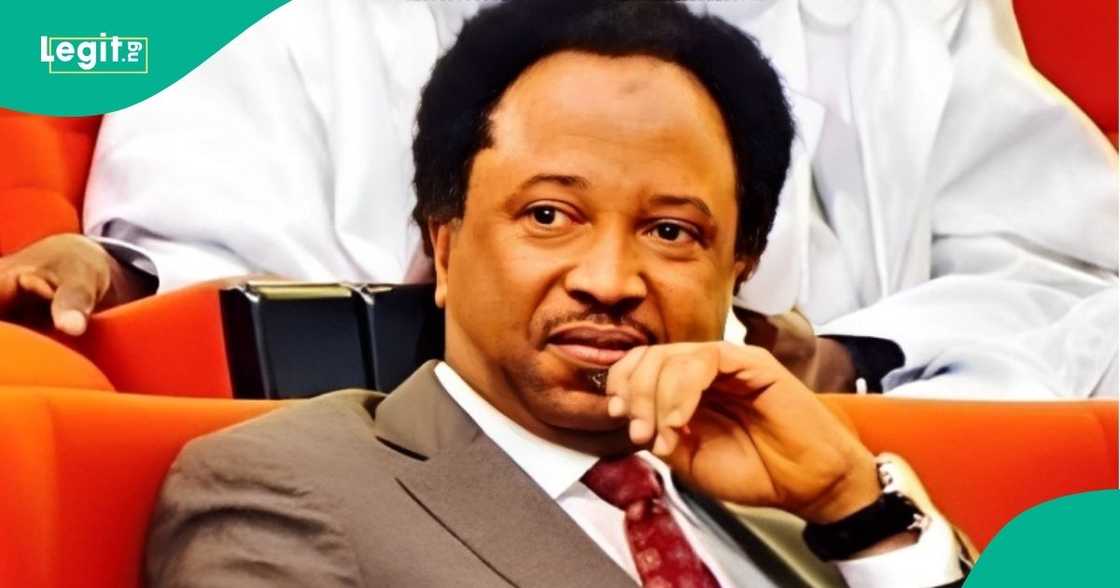 Shehu Sani's movement from PDP to APC has sparked criticism from political onlookers.