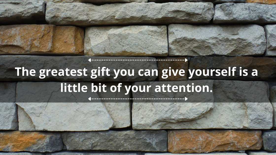 Mindfulness quotes for mental health Mindfulness quotes for mental health