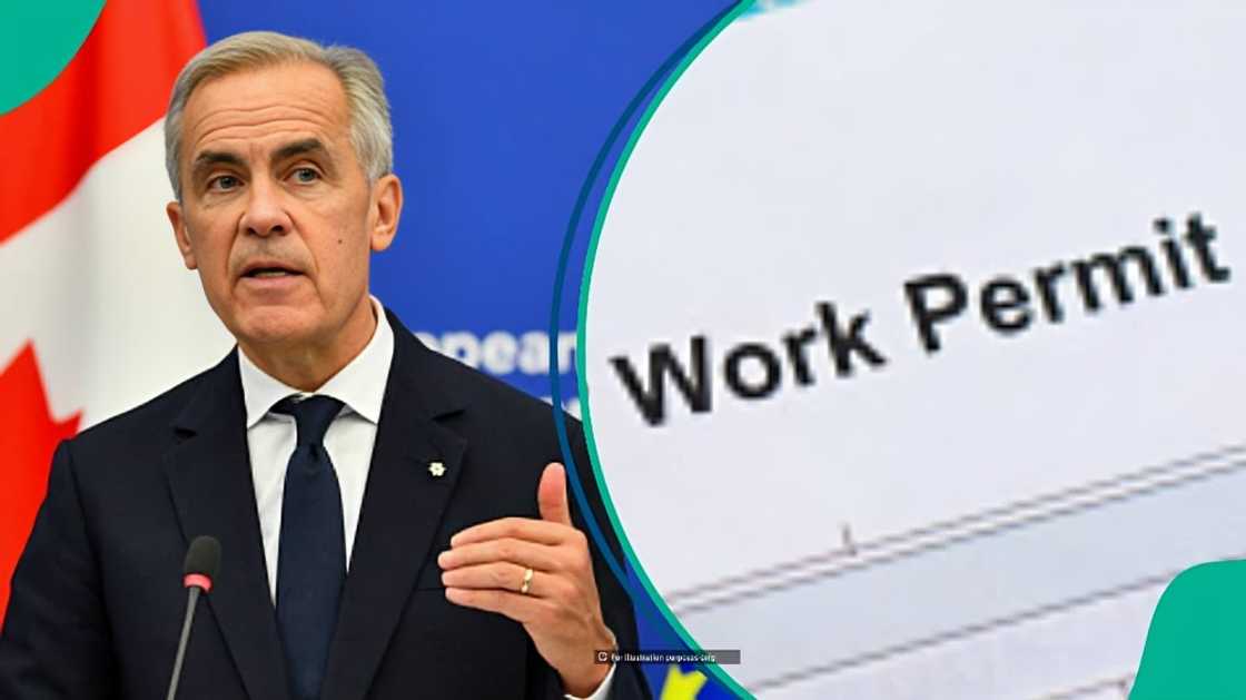 Canada outlines 3 things foreigners must do if they lose jobs linked to work permits Canada outlines 3 things foreigners must do if they lose jobs linked to work permits