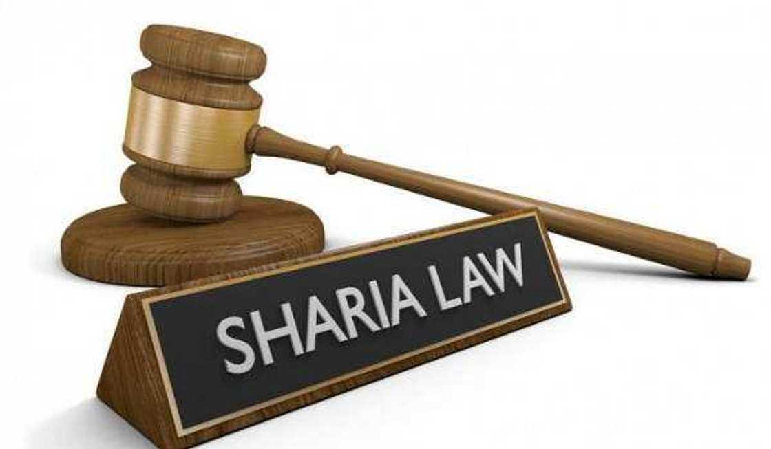 sharia sharia