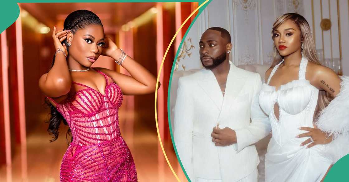 Sophia Momodu slams trolls over marriage advice amid Davido's wedding
