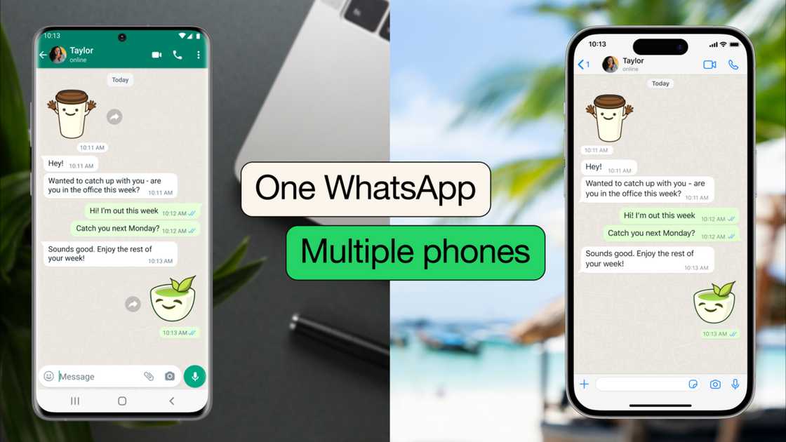 WhatsApp, multiple devices WhatsApp, multiple devices