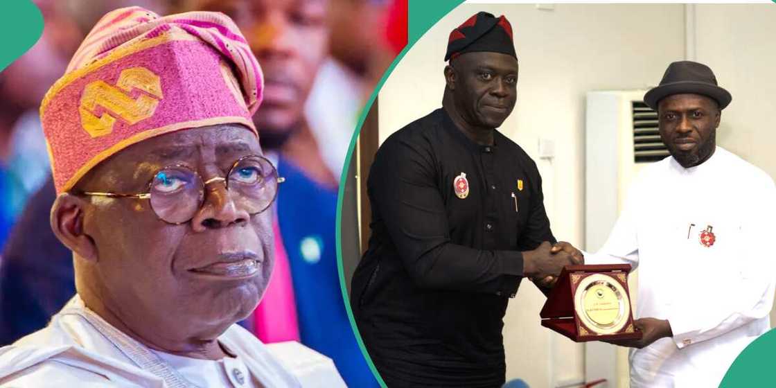 Tinubu, Niger Deltans, Ijaw Youth Council, presidential amnesty programme Tinubu, Niger Deltans, Ijaw Youth Council, presidential amnesty programme