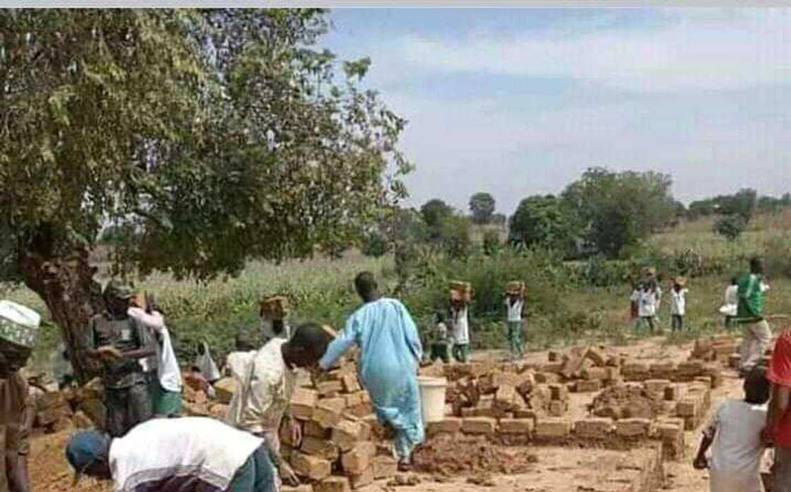 Hotuna: Daliban firamare a Katsina sun gaji da gafara sa, sun fara ginawa kansu ajujuwan karatu Hotuna: Daliban firamare a Katsina sun gaji da gafara sa, sun fara ginawa kansu ajujuwan karatu