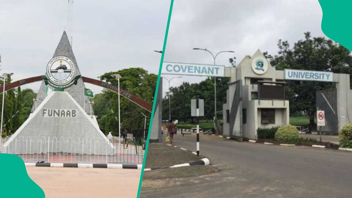 10 states with highest number of universities in Nigeria as of 2026 10 states with highest number of universities in Nigeria as of 2026