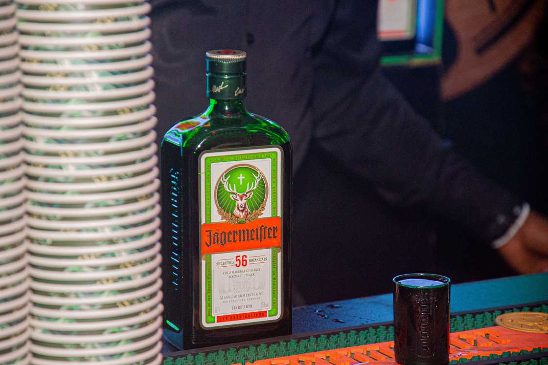DND Party Buzz: How Friends Partied with Jägermeister DND Party Buzz: How Friends Partied with Jägermeister