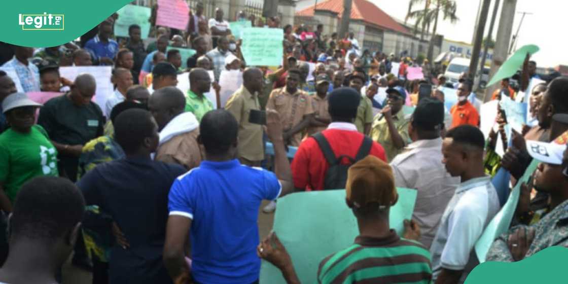 Distillers warn NAFDAC that sachet alcohol ban threatens five million jobs