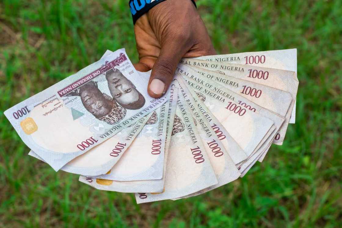 Naira notes Naira notes
