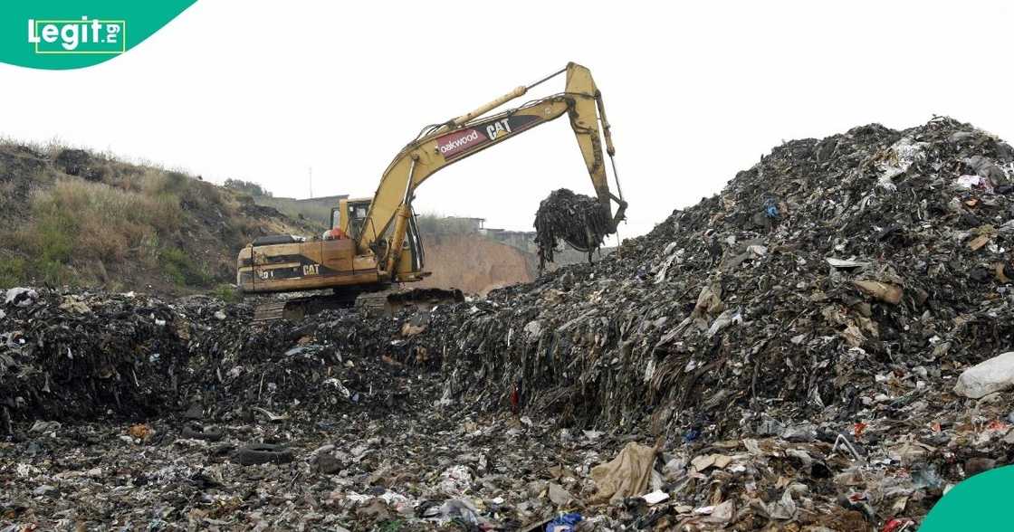 Zannytecture is turning waste to wealth