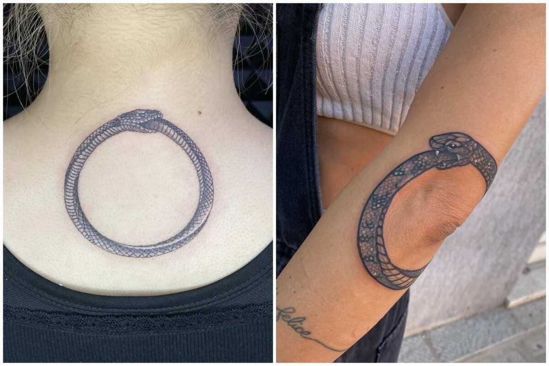 tattoo meaning growth tattoo meaning growth