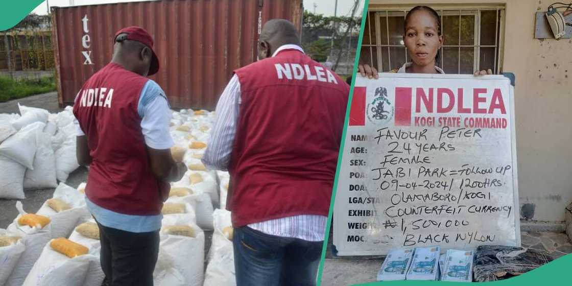 NDLEA crackdown on illicit drugs, makes fresh arrest