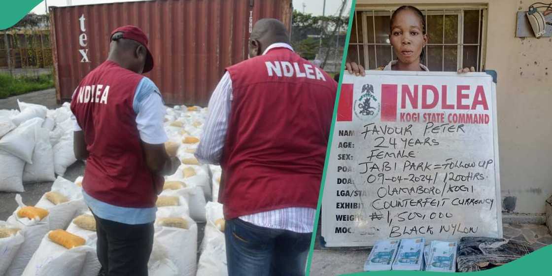 NDLEA crackdown on illicit drugs, makes fresh arrest NDLEA crackdown on illicit drugs, makes fresh arrest