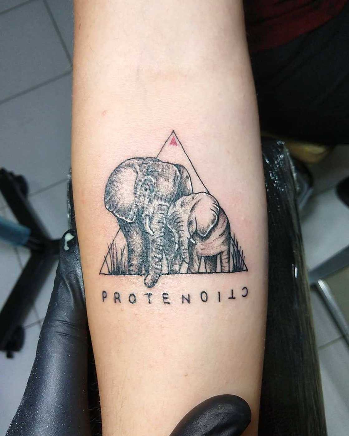 Baby elephant tattoo