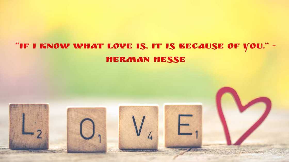 Cute couple quotes Cute couple quotes