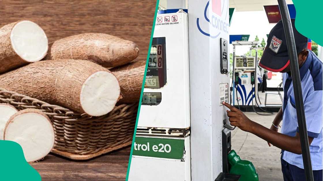 Experts Predict Jobs, Cheaper Petrol as Nigeria Expands Cassava Ethanol Production