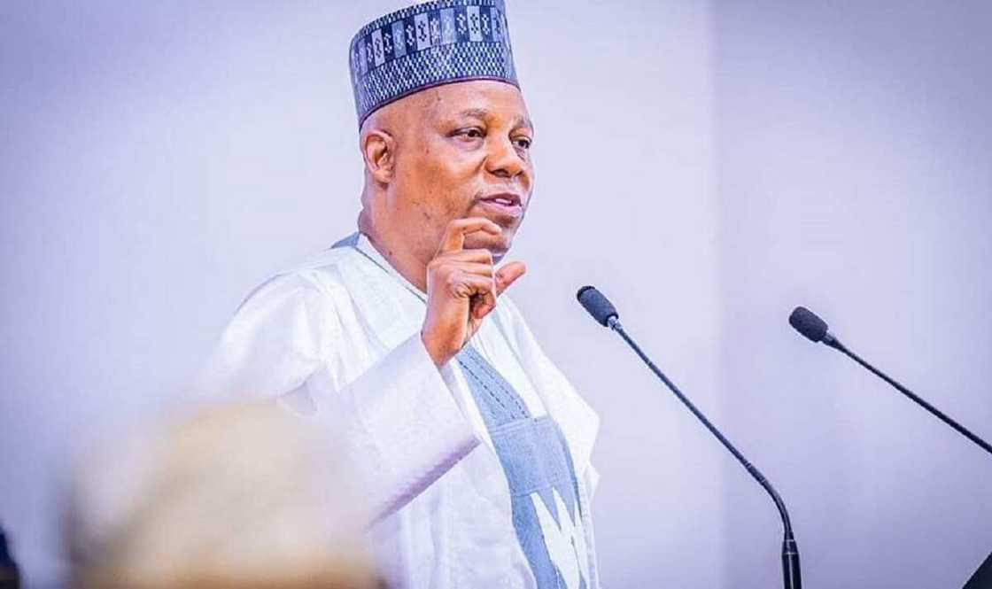 NEPC ta roki Musulmai su yafewa Kashim Shettima kan kalamansa na shugabancin majalisa