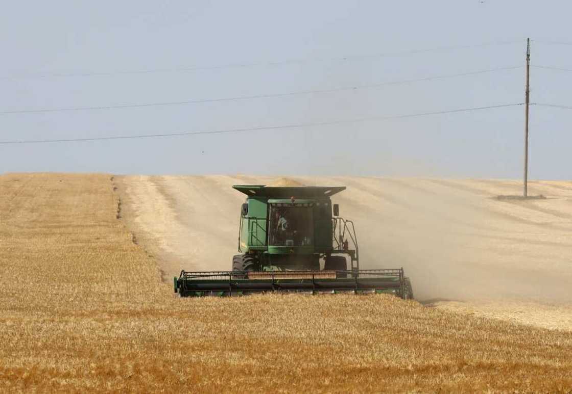 Up to 25 million tonnes of wheat and other grain are in danger of rotting in Ukrainian ports Up to 25 million tonnes of wheat and other grain are in danger of rotting in Ukrainian ports