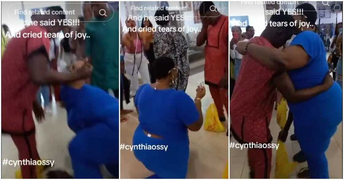 Proposal, mall, Shoprite, plus-size Proposal, mall, Shoprite, plus-size