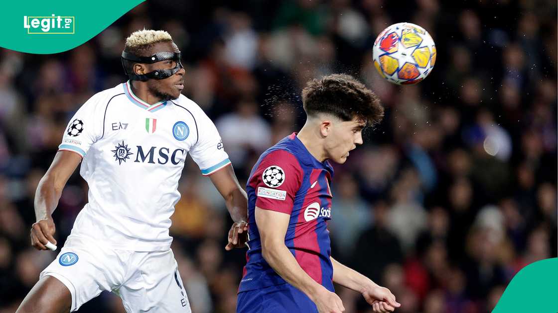 Victor Osimhen, Napoli, Pau Cubarsi, Barcelona, UEFA Champions League. Victor Osimhen, Napoli, Pau Cubarsi, Barcelona, UEFA Champions League.