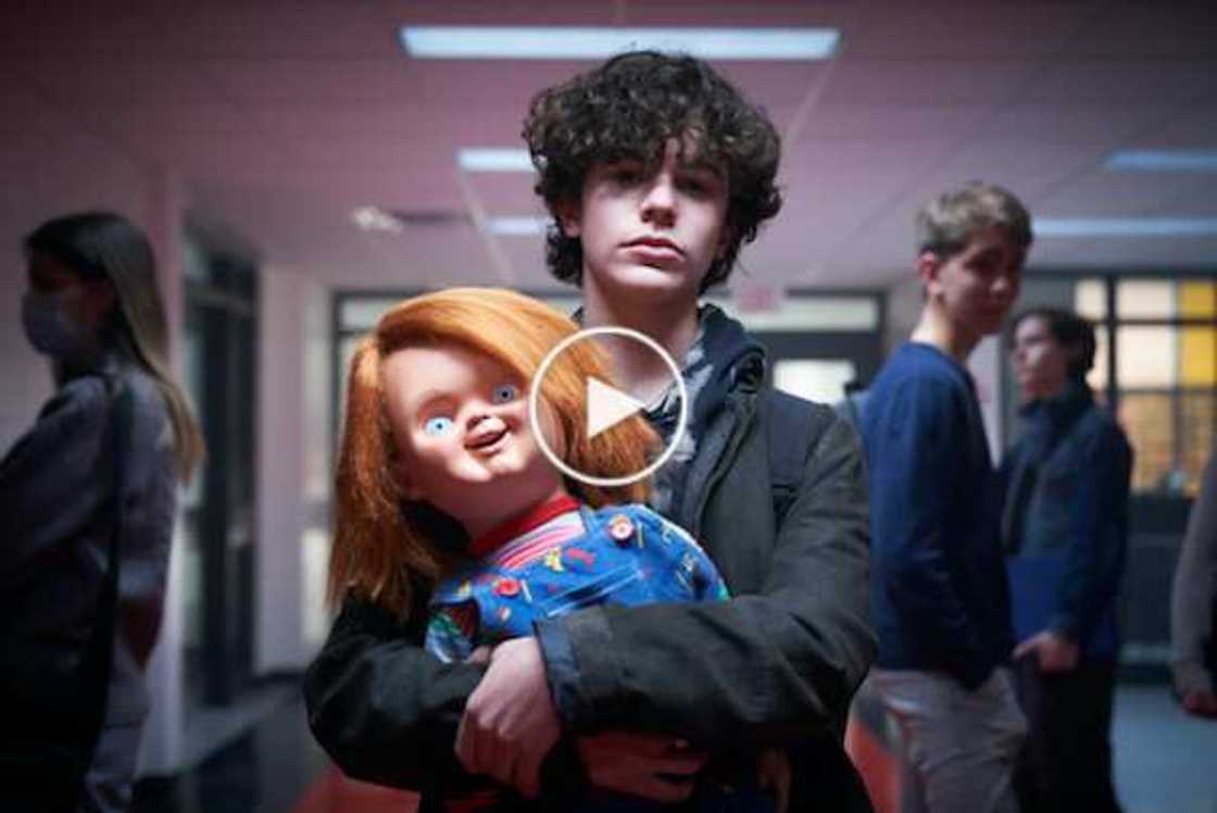 From Insecure to Gossip Girl, All the Best International Series on Showmax in December & January From Insecure to Gossip Girl, All the Best International Series on Showmax in December & January