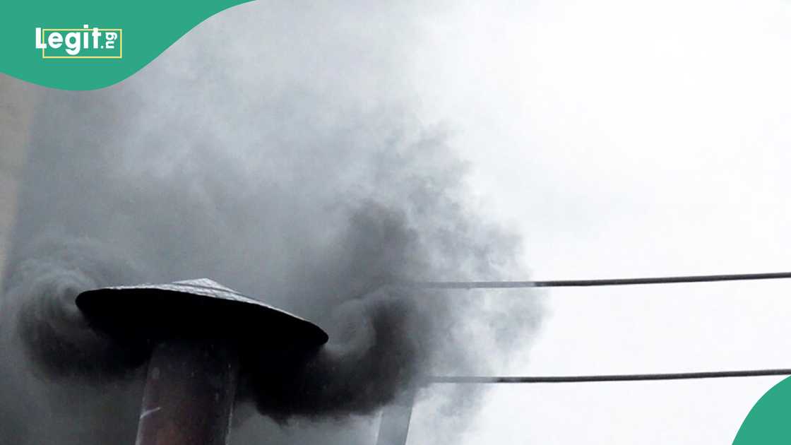 White smoke: Cardinals will vote on Thursday morning for the election of a new pope White smoke: Cardinals will vote on Thursday morning for the election of a new pope