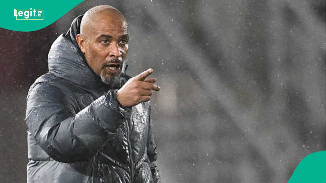 AFCON 2025: Eric Chelle Reveals How Nigeria Can Beat Algeria