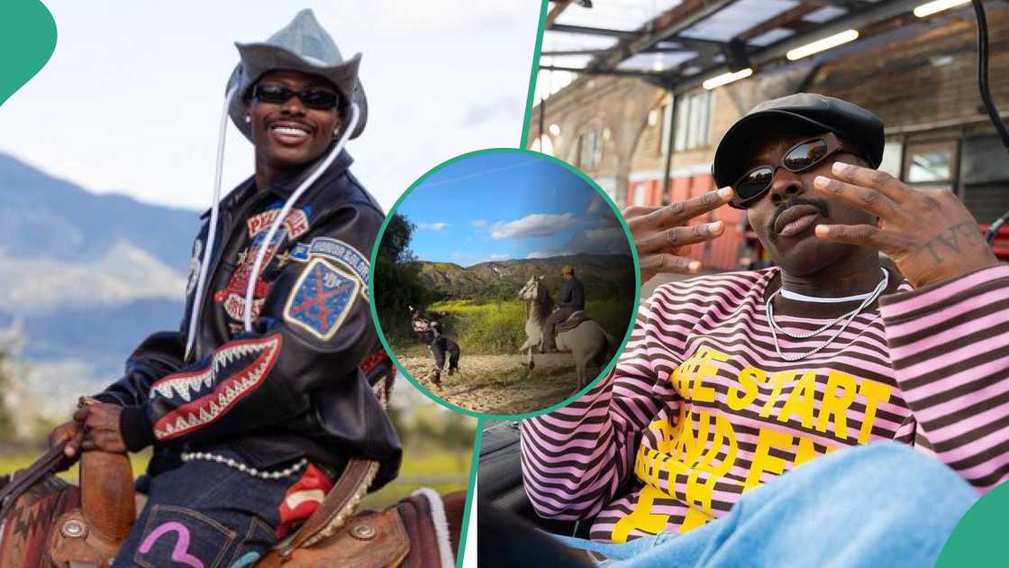 Asake teaches horse to dance in video. Asake teaches horse to dance in video.