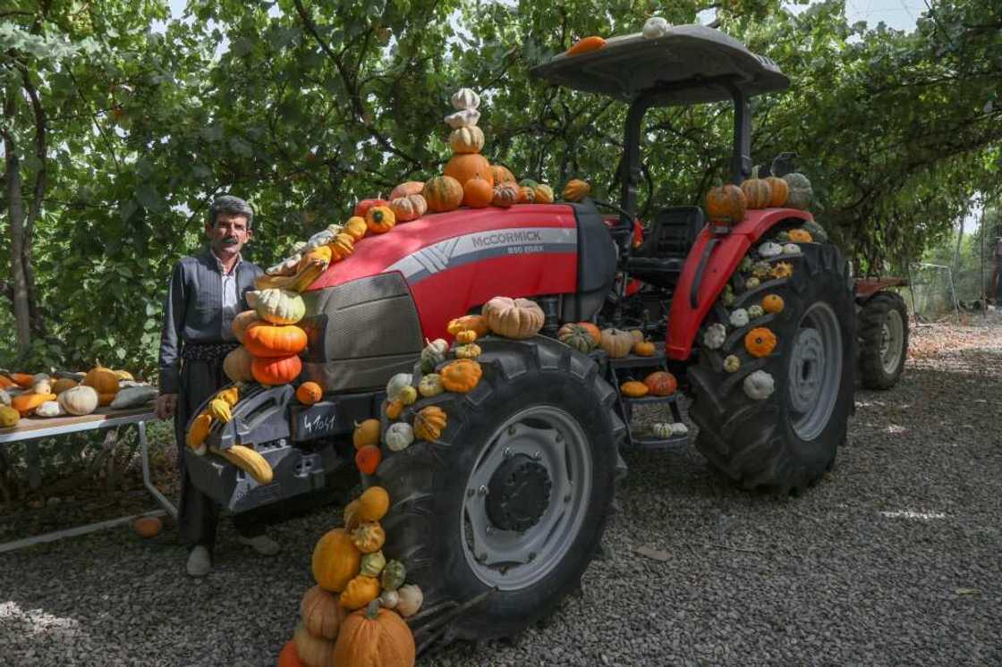 Azad Muhamad has become a social media star in Iraq's Kurdistan region, sharing tips on growing fruit and vegetables in a country highly vulnerable to climate change