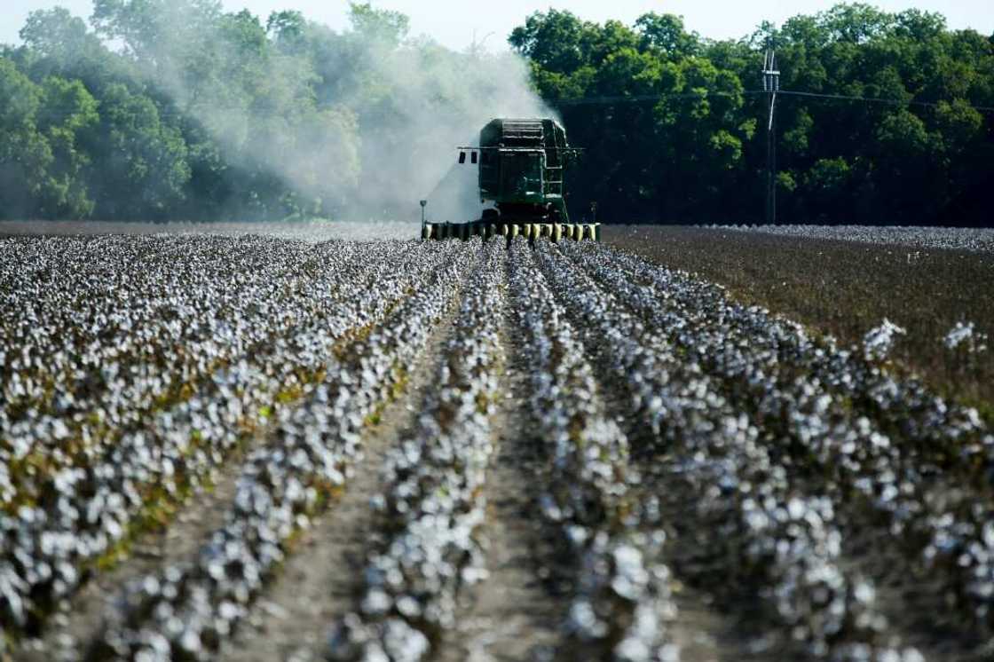 The United States is the world's third largest cotton supplier, behind India and China