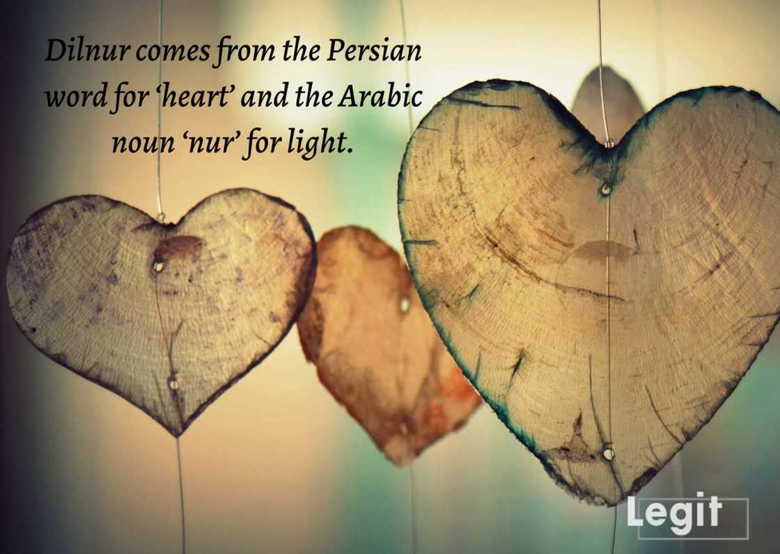 Kazakh names: Dilnur Kazakh names: Dilnur