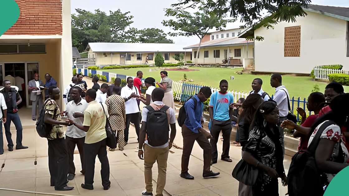 NDLEA gives 1 major condition to Nigerian students seeking admission