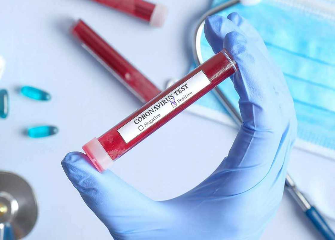 Matafiya 4 cikin 11 da aka damke za su shiga kudu daga Sokoto suna dauke da Korona Matafiya 4 cikin 11 da aka damke za su shiga kudu daga Sokoto suna dauke da Korona