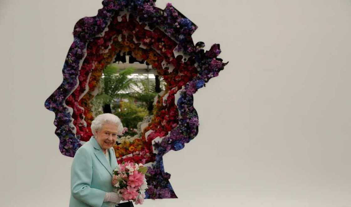 Queen Elizabeth II's image formed part of popular culture