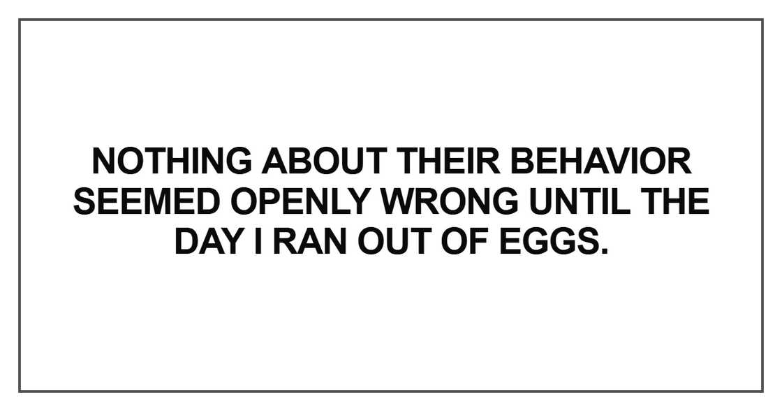 Nothing about their behavior seemed