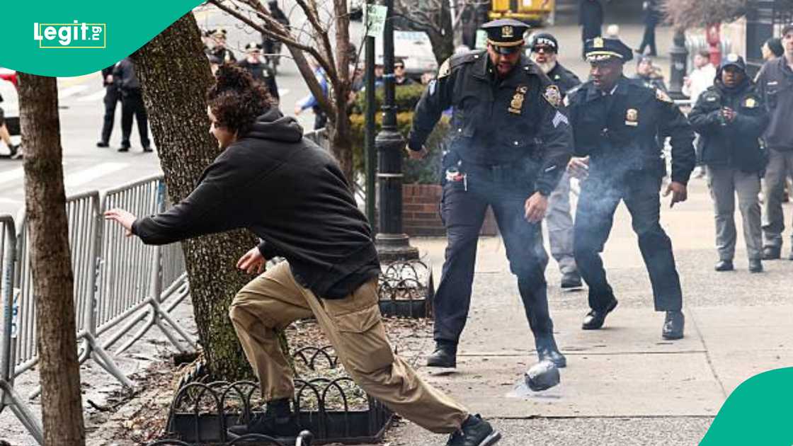 Wajen zanga zanga a New York, Amurka