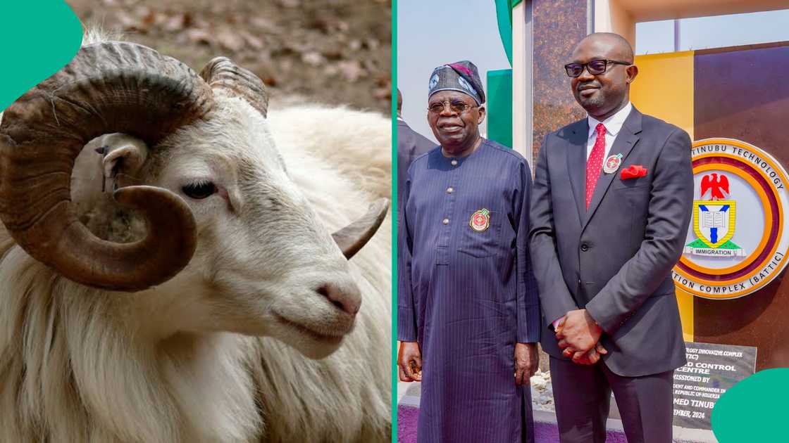 Federal government declares May 27 and May 28 public holidays for Eid Al Adha 2026 celebration in Nigeria. Federal government declares May 27 and May 28 public holidays for Eid Al Adha 2026 celebration in Nigeria.