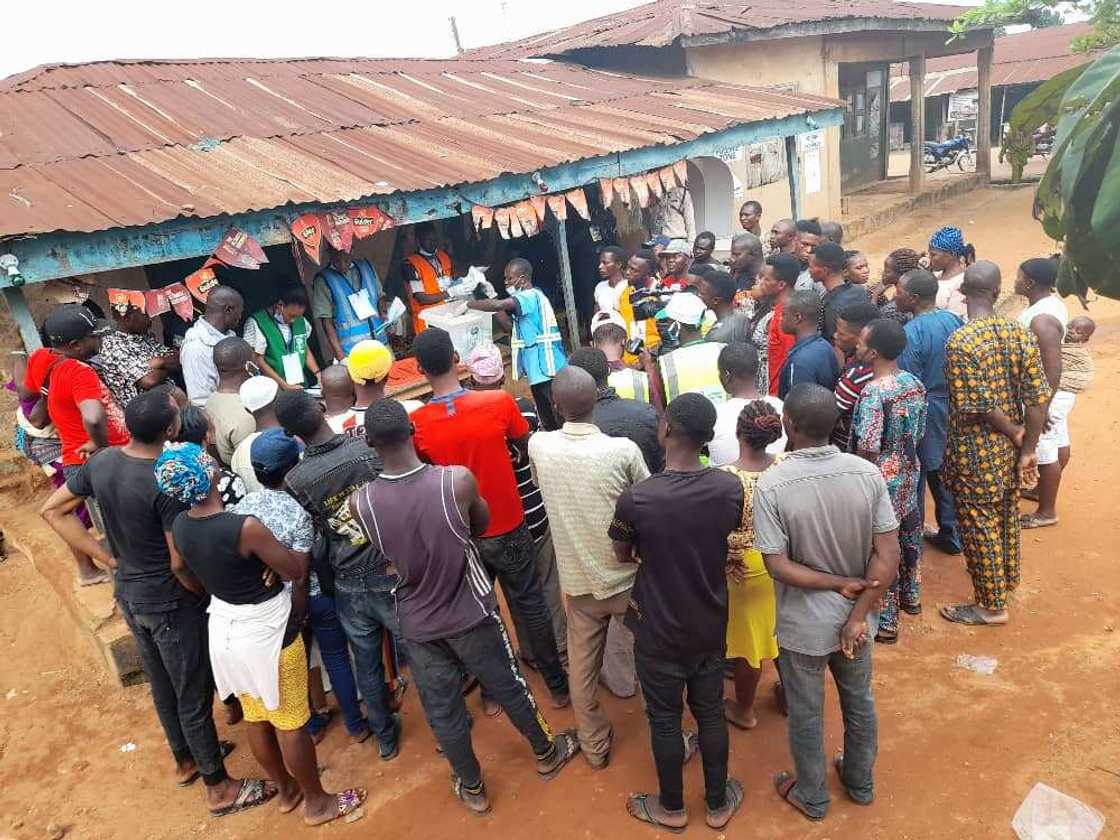 LIVE UPDATES: Vote counting begins in Ondo governorship election LIVE UPDATES: Vote counting begins in Ondo governorship election