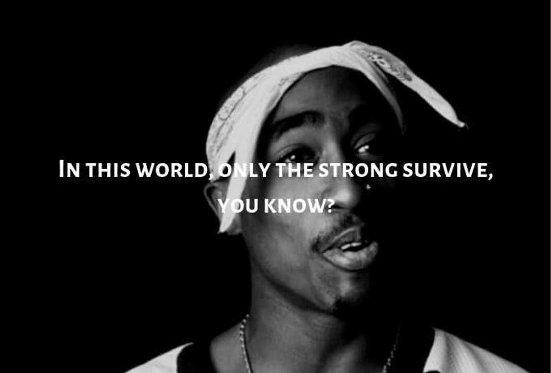 Tupac song quotes Tupac song quotes