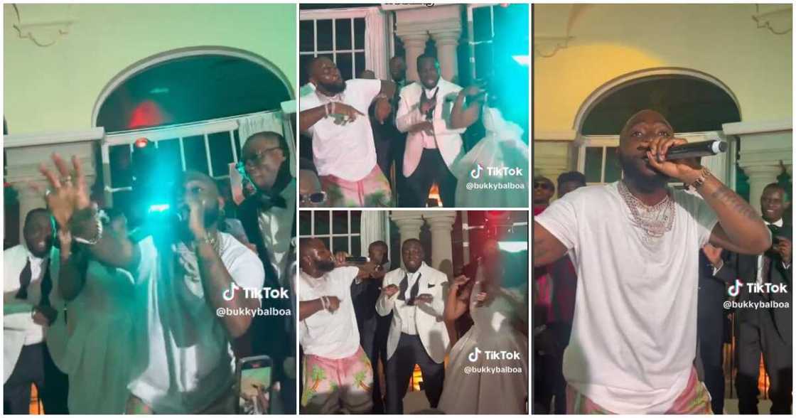 Davido, Timeless, Davido at wedding in Barcelona Davido, Timeless, Davido at wedding in Barcelona