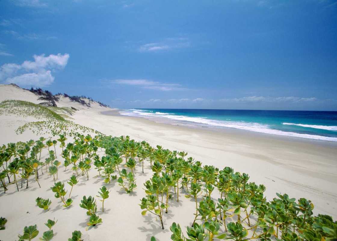 best African country to visit best African country to visit