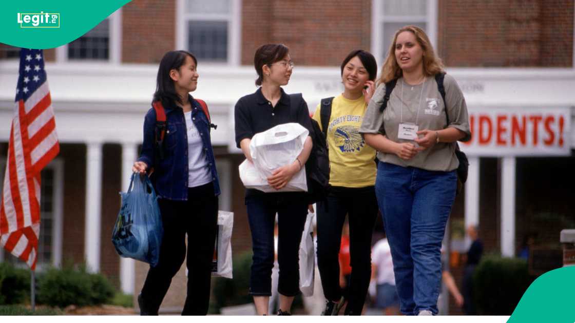 CIS report calls to end the OPT program, citing harm to American wages and job opportunities.