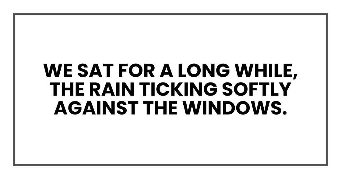 We sat for a long while, the rain ticking softly against the windows. We sat for a long while, the rain ticking softly against the windows.