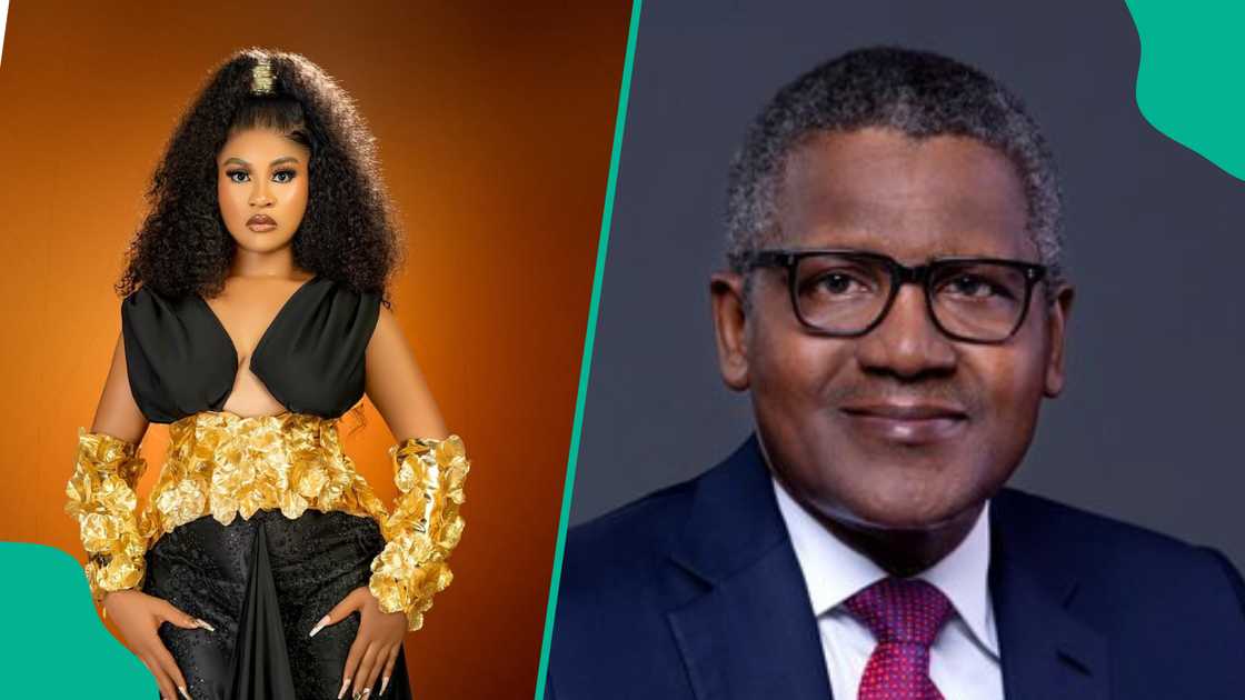 Phyna drags Dangote over sister's accident allegedly involving Dangote Group's truck Phyna drags Dangote over sister's accident allegedly involving Dangote Group's truck