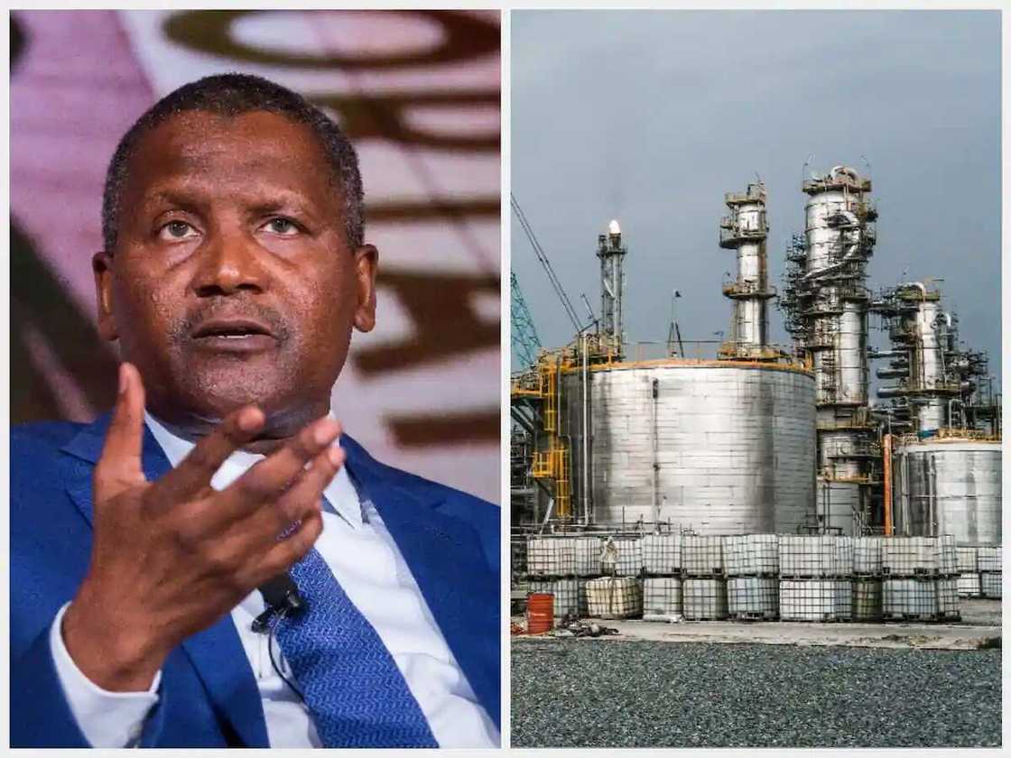 Dangote Dangote